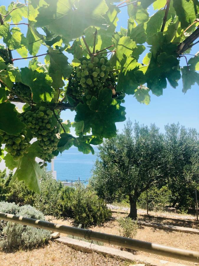 Villa Dani Sea & Pool Apartments Trogir Kültér fotó
