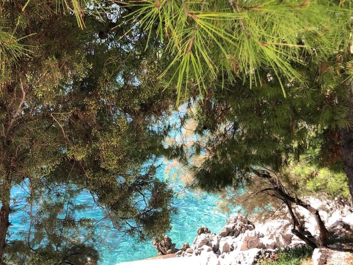Villa Dani Sea & Pool Apartments Trogir Kültér fotó